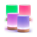 Friendship Lamp