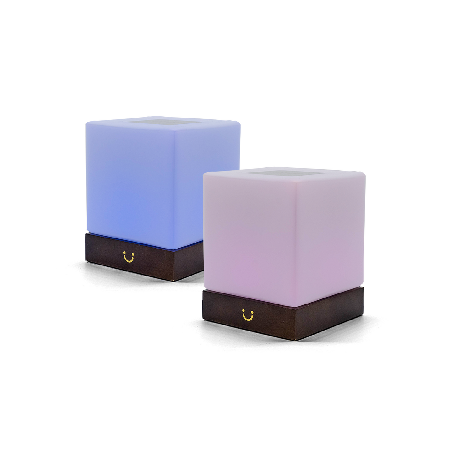 Modern Cube Lamp – Walnut / Set of Two | LuvLink Canada