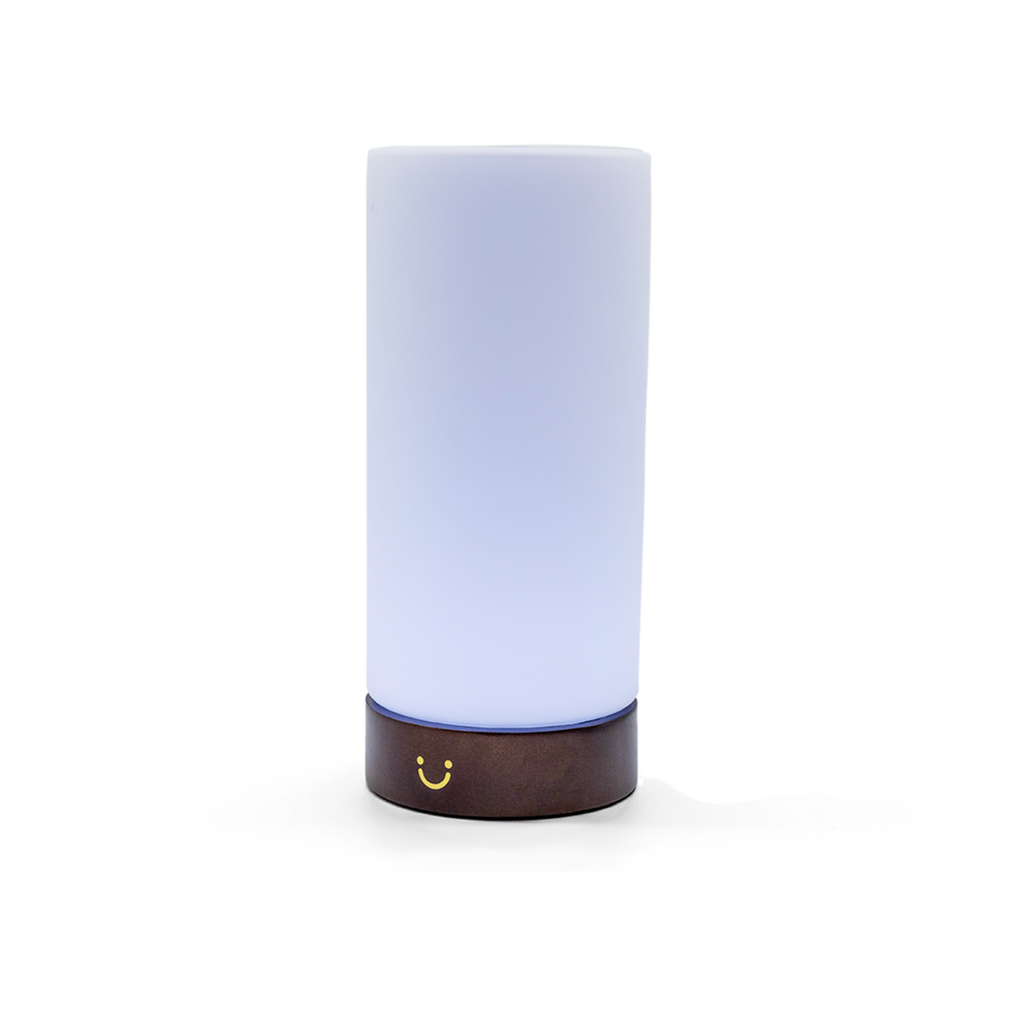 Modern Cylinder Lamp – Walnut / Single | LuvLink Canada